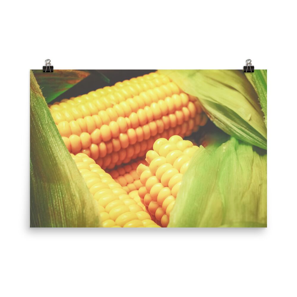 Sunny Sweet Corn Photography Poster