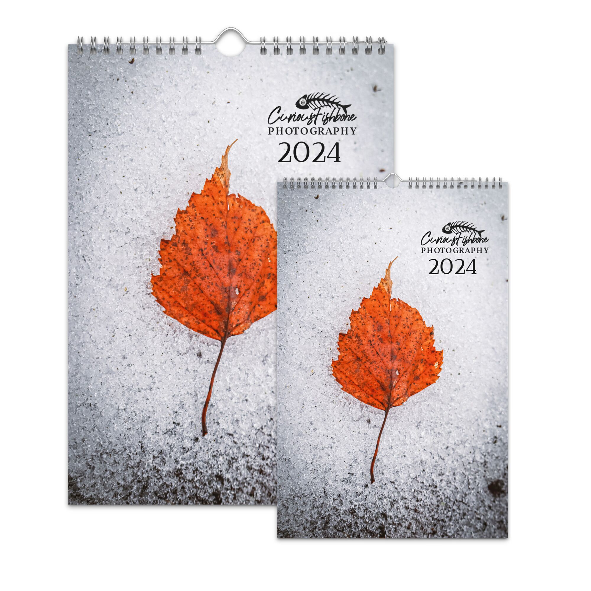 CuriousFishbone Photography Wall Calendar 2024 - US, Canada